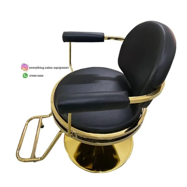 Styling/ Barber  Chair