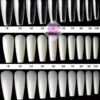17NT Nail - Image 3